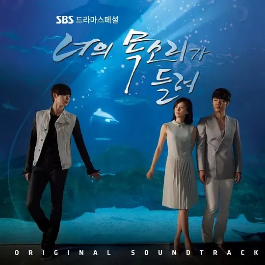 听见你的声音（2013）