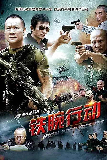 铁腕行动（2013）